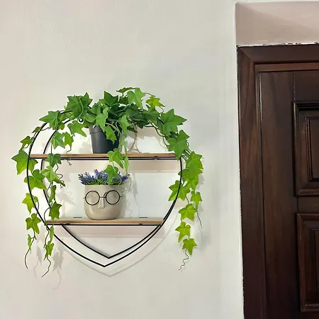 Casa Di Simone Grisolia